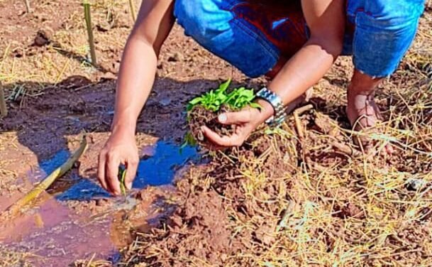 एग्री कल्चर (Agriculture)