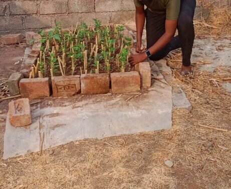 Agriculture project