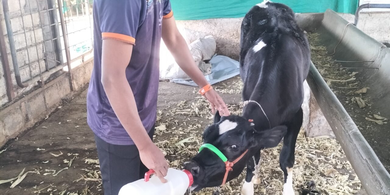 AGRI CALCULATOR PROJECT REARING A YOUNG COU