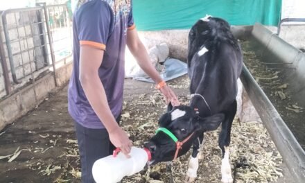 AGRI CALCULATOR PROJECT REARING A YOUNG COU