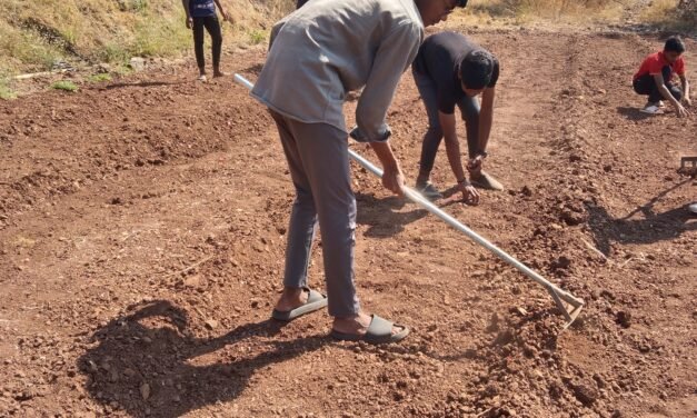 Agricultural Project