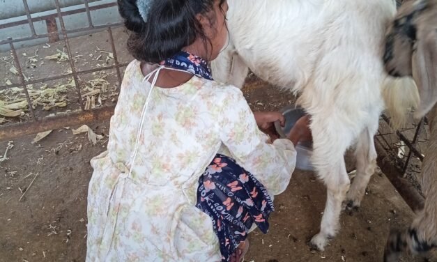 प्रोजेक्ट :शेती  व  पशुपाल