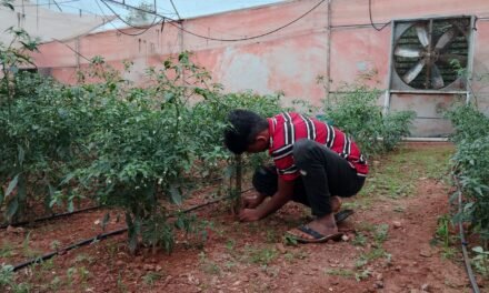 agricultural