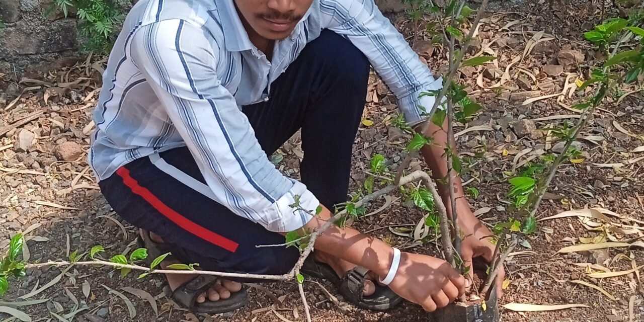 शेती विभाग