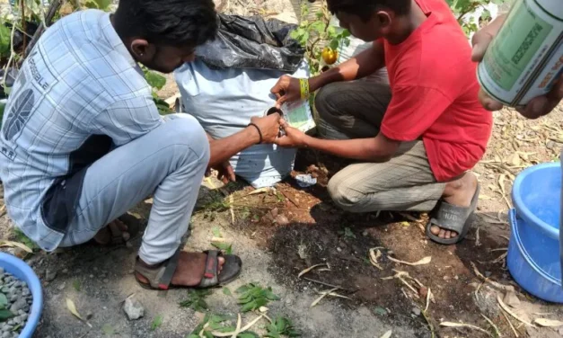 शेती विभाग