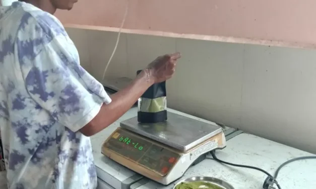 PROJECT –Moringa Powder