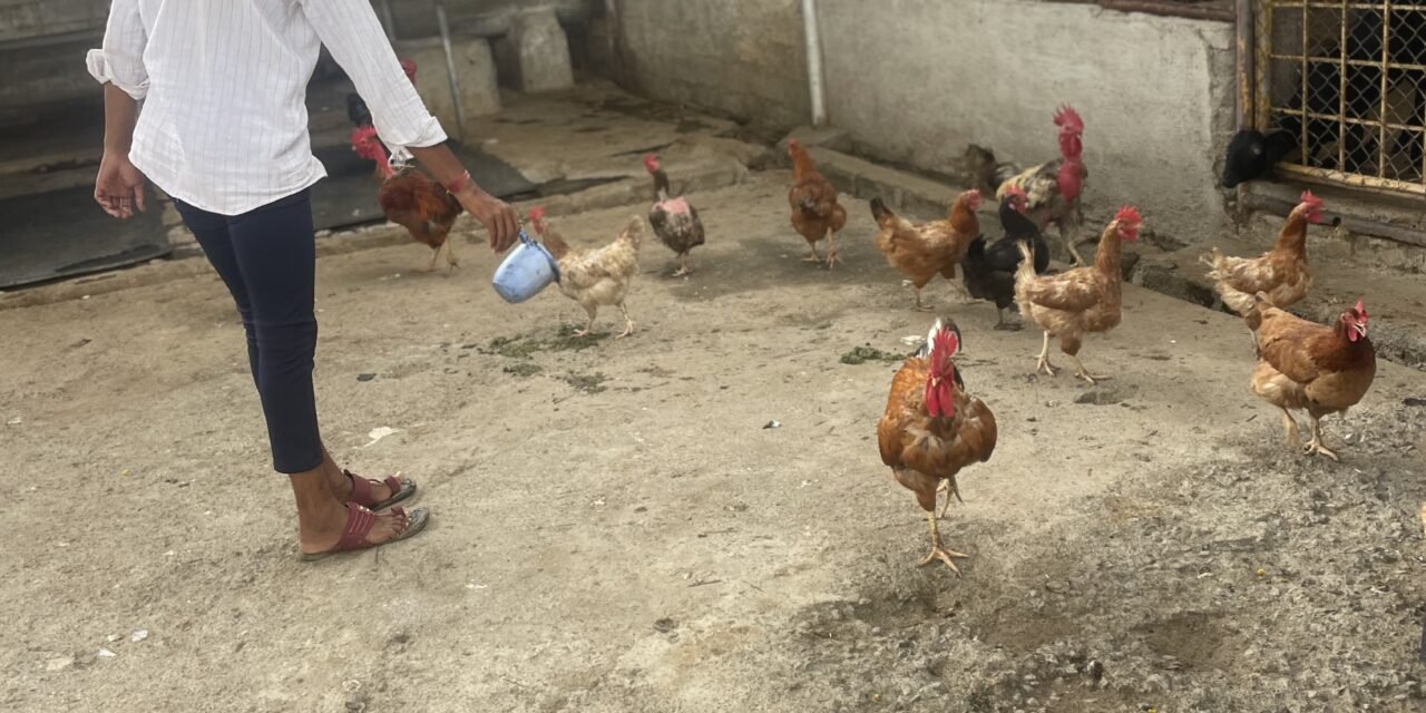 agricultural