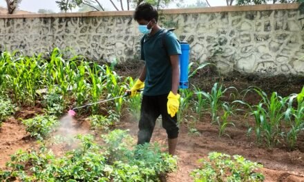 AGRICULTURE SECTION