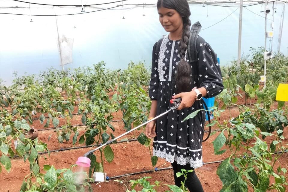 Agriculture