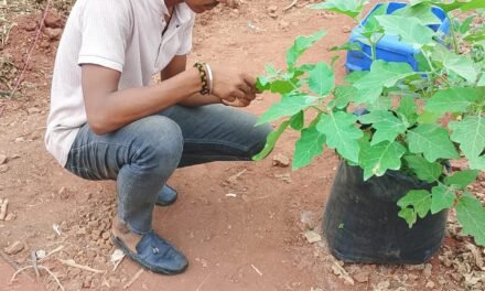 Agriculture