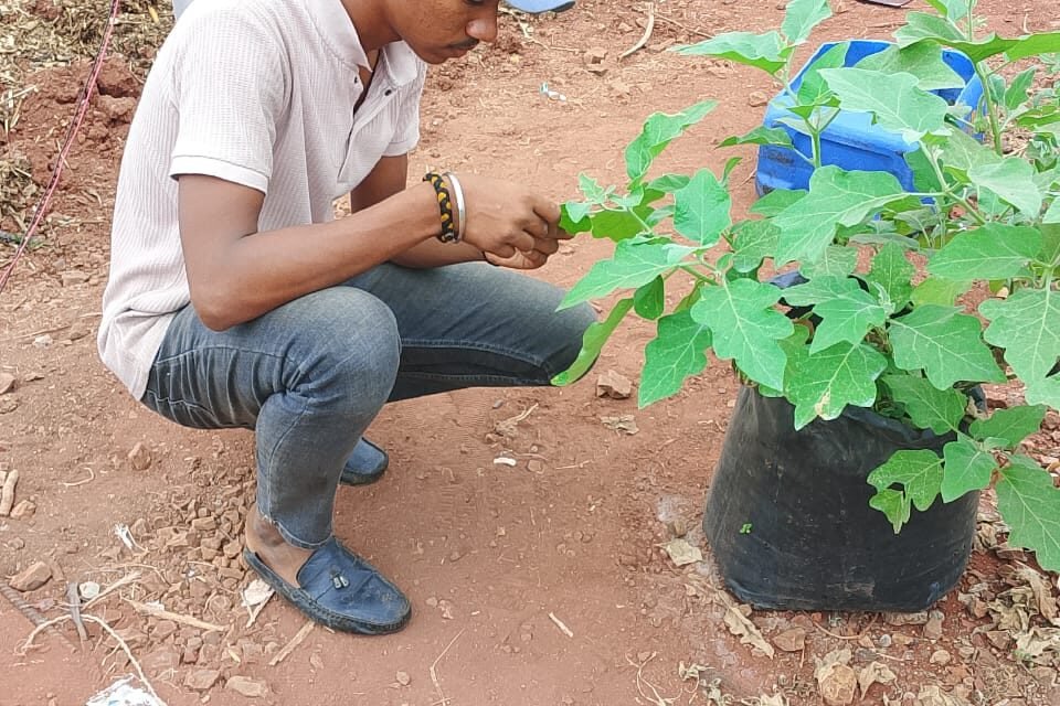 Agriculture