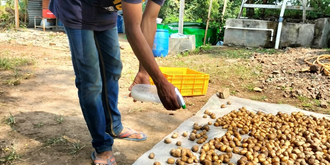 Agriculture section (2)