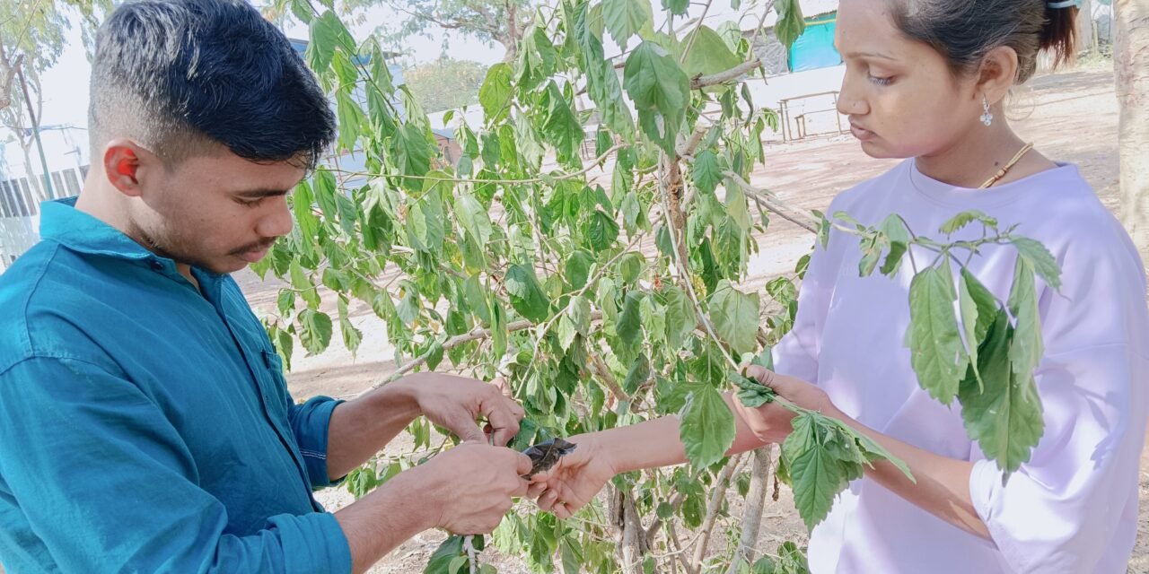 शेती विभाग
