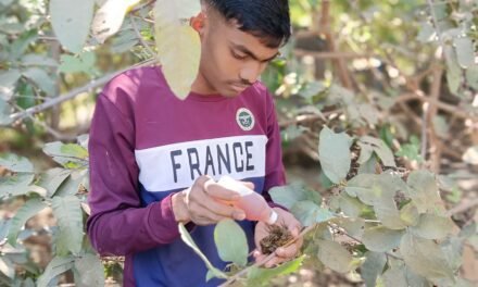 Agriculture