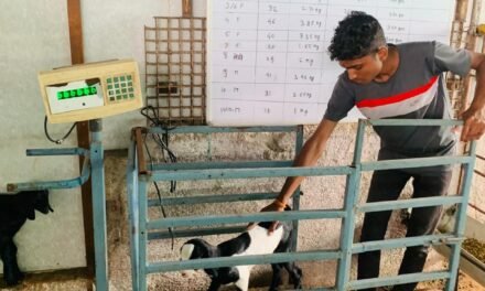 शेती विभाग