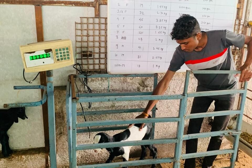 शेती विभाग