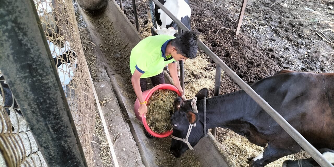 Agriculture