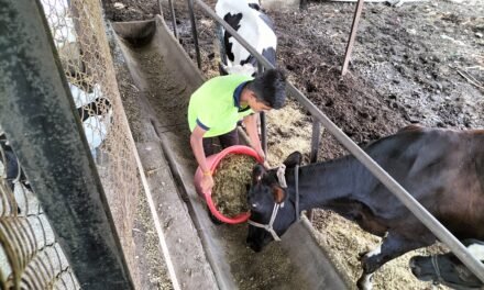 Agriculture