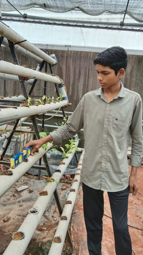 हायड्रो फॉर्मिक ची लेव्हल चे फोटो 
